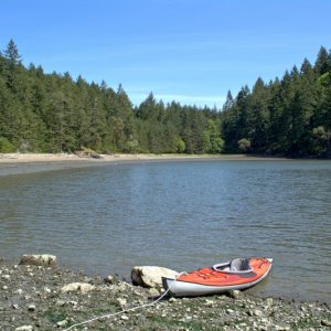 Looking over towards the beach in Eagle Harbor, which is muddy at low tide