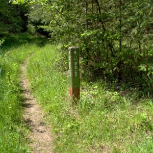 Which way should I go?