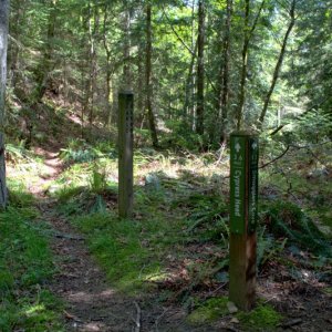 After a relatively easy climb you reach a junction in the trail. But no sign to Duck Lake?