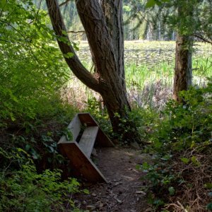 Nice little bench to just sit and listen to all the birds!