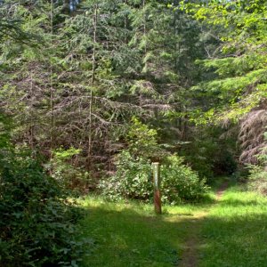 At the northeast corner of the lake another trail cuts off to the west, along the north end of the lake