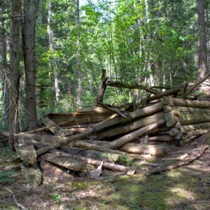 Old log cabin at Duck Lake