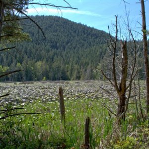 Better views of lake from Smugglers Cove trail