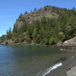 Looking at Eagle Cliff. There were 6 or 7 large birds soaring above. Not Eagles. Red heads. Turkey Vultures?  2 of them soared down to the beach to check me out, flew right over my head!