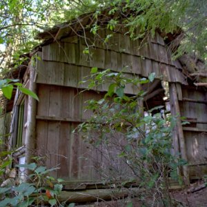 Media 'Noticed another old cabin just above the beach' in album 'Setting out for a day trip to Cypress for some hiking. Of course I could have just stayed the night at Doe Island, but NOAA was calling for SCA and 3-5 footers, so I made a run for it back to home port. Turned out to be a false alarm, so I'm heading back out!'