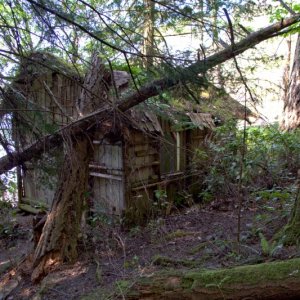 Could this have been Mrs Hardy's cabin?