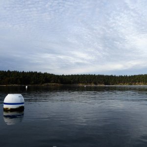 Echo bay was equally void of any boats.