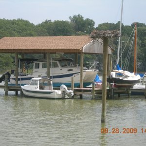 Media 'Captain's Kitten CD 16 Angler 1995' in album 'The Boatyard 1'