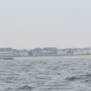 IMG 2698