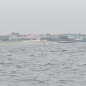 Shark River Inlet