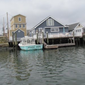 IMG 2844