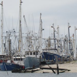 Cape May fishing Fleet