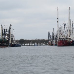 The Cape May Fishing Fleet more