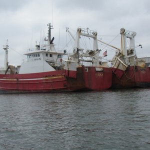 Commercial Boats
