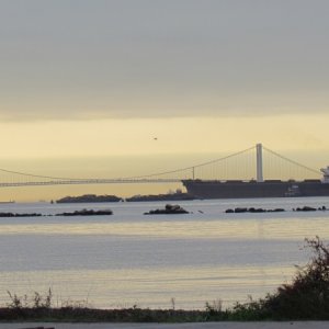 it looks like that freighter won't fit under the Verranzo Narrows bridge in the distance