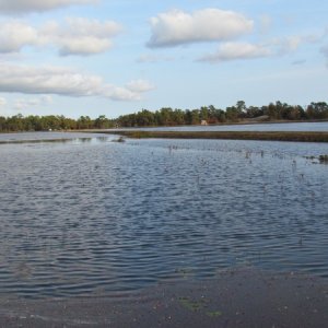 Cranberry bog just flooded