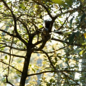 Seashore State Park trail walk resident2