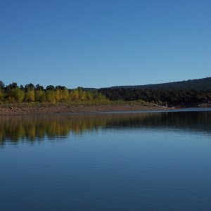 Fall reflections.