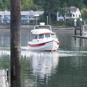 Swantown Marina in Olympia WA.
