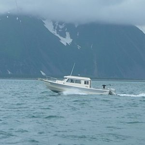 Resurrection Bay