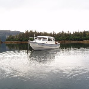 Knight Island Cove