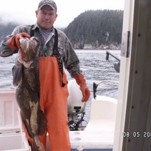 Ling Cod