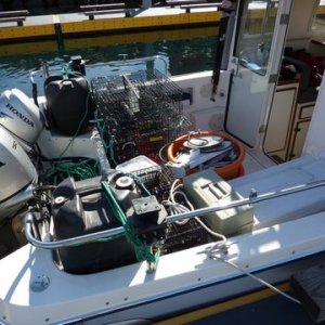 Loaded for a week in the Sound.
