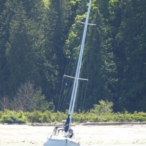 Other boats were anchored a bit too close to shore