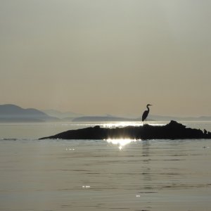 Sunset from Echo Bay Saturday night
