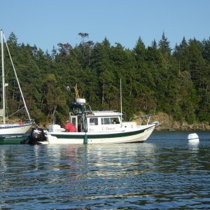 C-Dancer in Shallow Bay