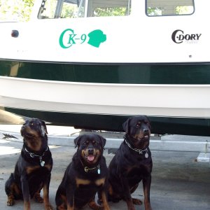 (rbutler) Can we go too?