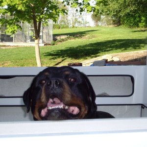 Media '(rbutler) Nice boat' in album '(rbutler) Can we go too?'