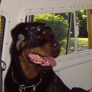 (rbutler) Fritz loves the C Dory