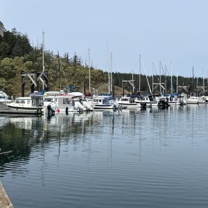 Official start of the gathering. H dock filling up with C-Dorys.