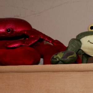Crabs on Top of Entertainment Center