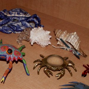 Media 'More Crabs in Entertainment Center' in album 'Crabs at Front Door'