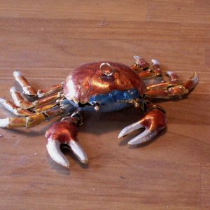 Media 'Crab on Coffee Table' in album 'Crabs at Front Door'
