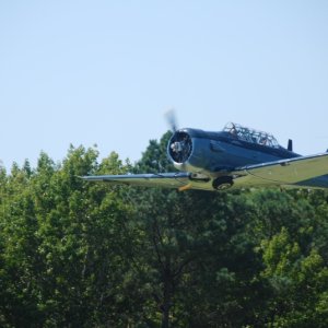 DSC 0136