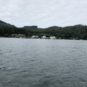 Media 'View of downtown Winter Harbour' in album 'Bottom fishing a few miles offshore from Lippy'