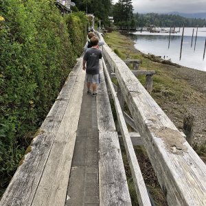Media 'The boardwalk.' in album 'Bottom fishing a few miles offshore from Lippy'