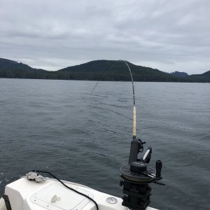 Media 'Flat calm offshore fishing' in album 'Bottom fishing a few miles offshore from Lippy'