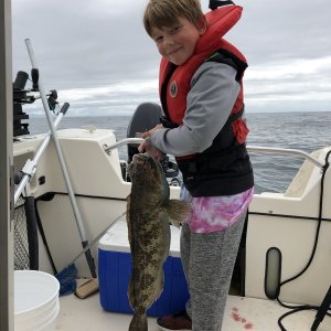 Media 'Lingcod!' in album 'Bottom fishing a few miles offshore from Lippy'