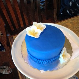 Media 'Carolyn\'s buddy made a cake to match her Hawai\'in dress' in album 'With Ryder, grandson/ring bearer'