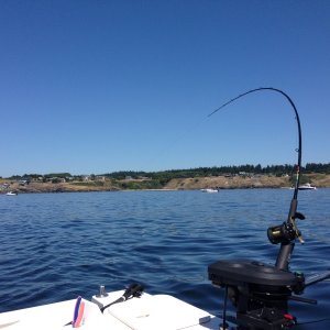 Media 'Off Eagle Point' in album 'Friday Harbor'