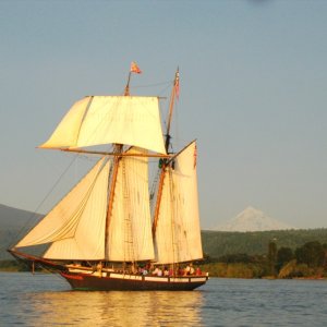 On the Columbia R. Near Camas WA, Mount Hood in background