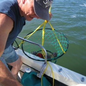 Cousin David measuring the catch