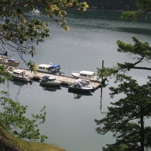 Media 'C-Pod, Reid Harbor, Stuart Island, WA' in album 'upriver from cathlamet 07'