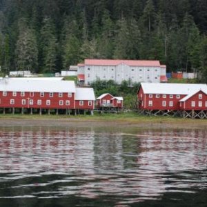 Hawk Inlet, North Admiralty Island, SE Alaska