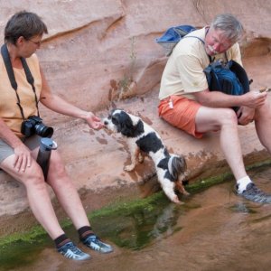 Toni, Baxter and Russ Take a Break at Smith Fork Canyon 9-20-10