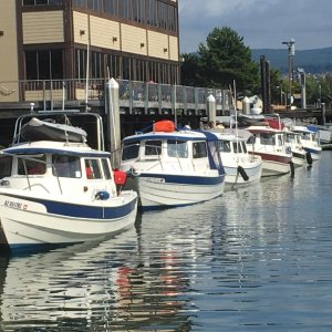 C-Brats Bellingham 2019